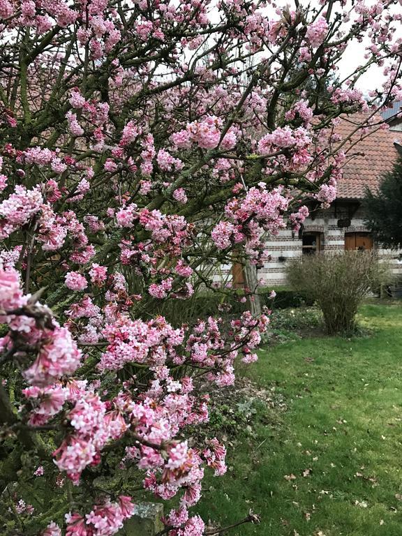 La Ferme Des Templiers De Flechinelle Bed & Breakfast Enquin-les-Mines ภายนอก รูปภาพ